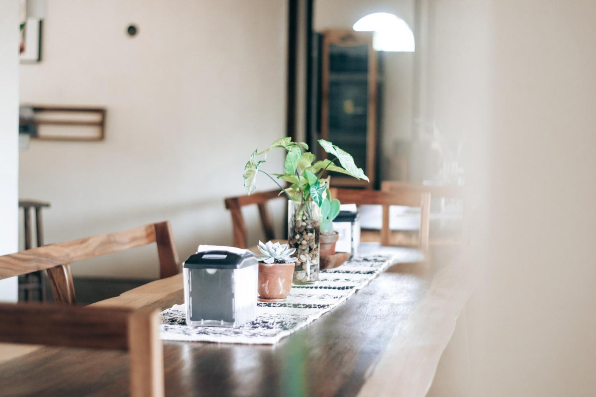 Caracola Boutique Hostel El Paredón Buena Vista المظهر الخارجي الصورة